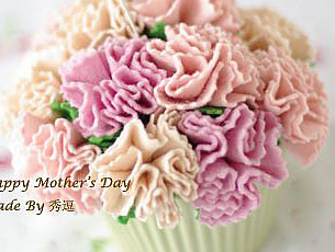 怎样自制不织布康乃馨